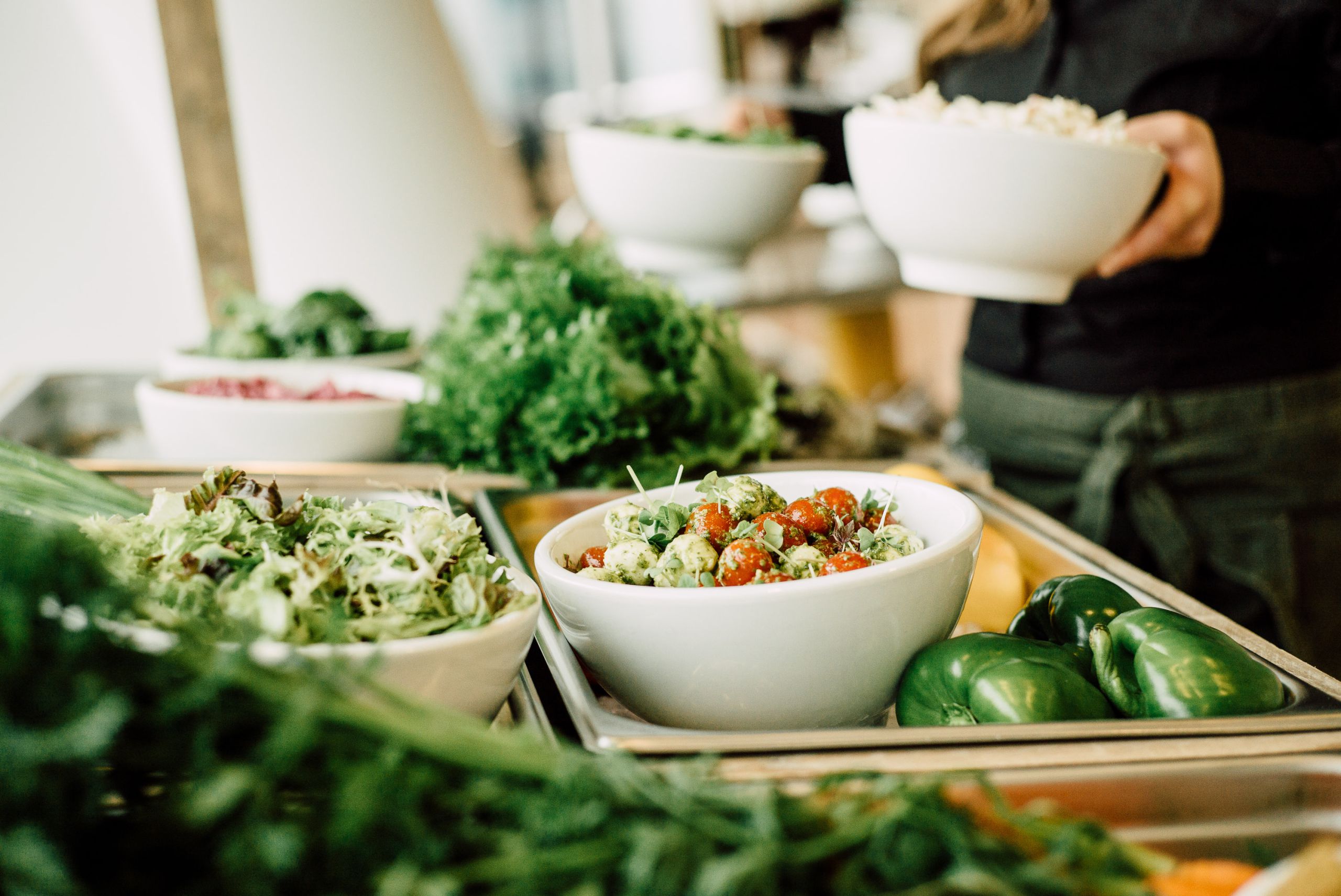 VIT food Planetarium